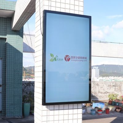 55inch contrassegno all'aperto TV dell'affissione a cristalli liquidi Digital per l'affare 3000nits resistente alle intemperie